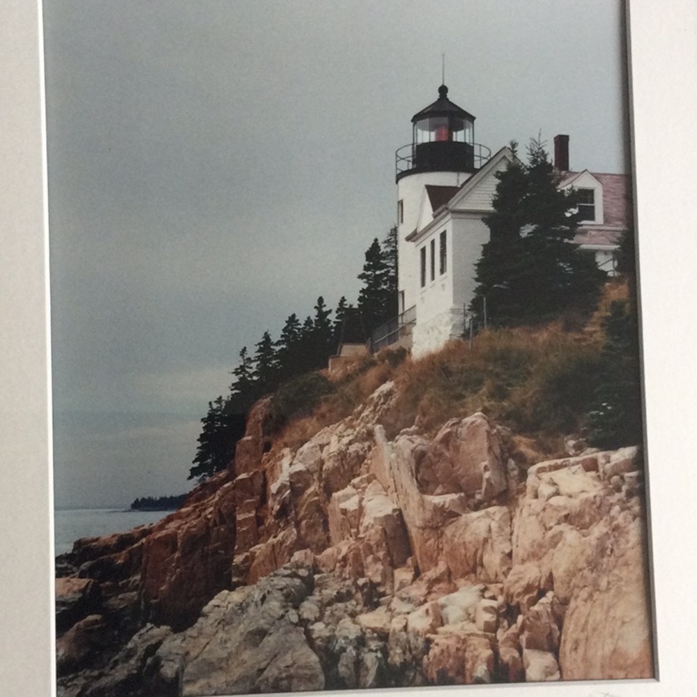 Photograph - Picture 3 of 3